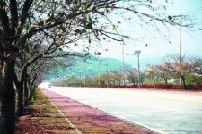 [안심가로등 공동사업-전북 고창] 밝아진 밤거리 범죄·사고 예방… 주민들 표정도 환해