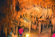 ‘5억년 지하궁전’ 태고의 신비 만나다… 강원도 평창 ‘백룡동굴’