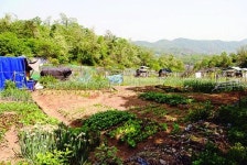 ㈜하이랜드, 하남시 감북·초이동 그린벨트 토지 공개 매각