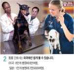 [손끝뉴스] 내 직업은 동물 간호사
