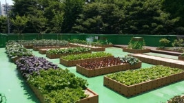 광진구, 학교텃밭 조성사업 큰 호응...정서적 안정감, 수확의 기쁨, 나눔의 즐거움까지