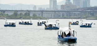 [포토] 한강오리보트 타며 더위를 날리는 외국인과 다문화 가정