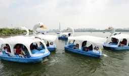 [포토] 2016 한강몽땅 축제 즐기는 외국인과 다문화가정