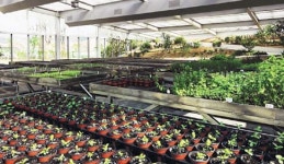 [친환경·녹색경영-아모레퍼시픽]  뷰티사업장 옥상에 태양광 모듈 설치