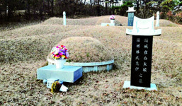 불법 최태민 묘… 용인시, 행정조치 나선다