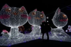 겨울밤 고양 호수공원은 ‘빛의 세상’… 고양호수꽃빛축제 16일 개막