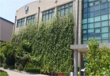 서울 96개 학교 올해 ‘녹색 힐링공간’으로 재탄생한다