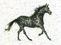 [색과 삶] 다크호스