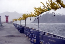 공식명칭 진도항인데…세상서 가장 슬픈 항구 팽목항