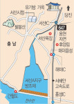 고택 뒤 노란 물결… 花려한 ‘봄의 향연’