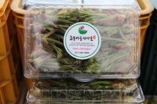 가평서 봄을 맛보는  ‘두릅-봄나물 축제 즐기세요