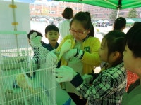 신나는 과학 세상”, 창의 톡톡! 중흥 과학 축제 한마당 열려
