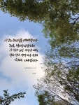 [이혜지의 캘리,하루] ‘사랑의 하나님을 예배합니다’