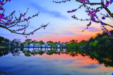 자연이 만든 데칼코마니… 카메라 셔터를 유혹하다