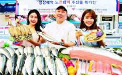[포토] “노르웨이 수산물 맛보세요”