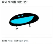 쓱쓱 그린 만화 캐릭터?… 이 새는 정말 이렇게 생겼다