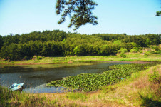 바람·바다·노을·숲이 빚은 이국적인 풍경