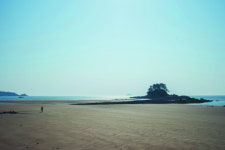 바람·바다·노을·숲이 빚은 이국적인 풍경