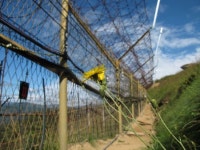 국립수목원, 비무장지대 식물 집대성한 ‘DMZ의 식물 155마일’ 발간