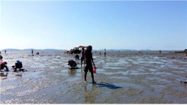 [전국 방방곡곡, 어촌에서 즐기는 여름휴가-1] 여름휴가, 취향대로 내가 원하는 바다촌 떠나볼까?