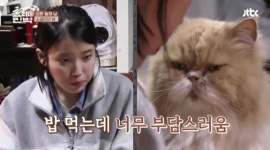효리네 민박 아이유, 상처 많은 모카와 따스한 눈맞춤 (영상)