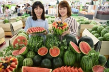 수박이 박수~ 여름맞이 형형색색 수박