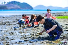 '캐면 다 네거' 먹거리 풍부한 갯벌체험에 놀러오세요!
