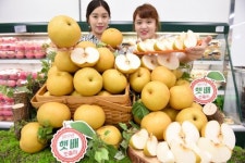 올해 첫 출하된 햇배 드세요