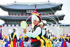 아리랑축제에 가보셨나요?