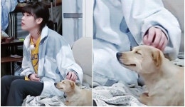 ‘효리네민박’ 아이유 손길에 기분 좋은 ‘모카’ 표정