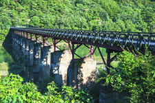 뚜벅뚜벅·쌩쌩…‘숲으로 다리’건너 가을속으로