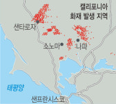 초대형 불길에 美 캘리포니아 와인 산지 ‘초토화’