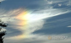 [포토]가을하늘을 반기는 채운