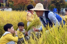 (주)농협유통, 어린이 농부들과 가을 걷이 체험