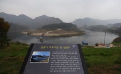 [포토] 강원도 영월군의 국내에서 가장 큰 소나무인 관음송