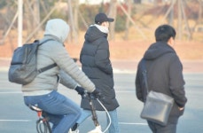 대구도 춥다