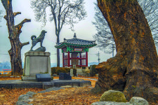 정으로 보살피면 충의로 보답한다