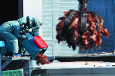 포천 산란계 농장 고병원성 AI 확진… 평창 ‘비상’