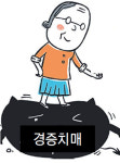 ‘경증치매’ 요양·보호시설   수용력 들쭉날쭉