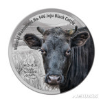 가상화폐 용어 ‘존버’ ‘떡상’ ‘가즈아’…무슨 뜻일까?