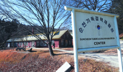 [오기완과 떠나는 성지순례 ‘한국의 산티아고 길’ 680㎞를 걷다] ② 순천 기독교와 린튼家