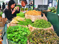 [포토] 그윽한 봄나물 향기