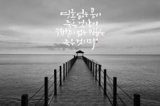 [이혜지의 캘리,하루]영혼 없는 몸이 죽은 것 같이 행함이 없는 믿음은 죽은 것이라