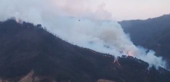 삼척 노곡면 산불 확산, 산림당국 진화 총력전