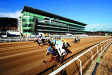 [이제는 지방시대-마사회 렛츠런파크 부산경남] 부산·경남 대표 공기업… 지방 재정 확충·사회 공헌 앞장