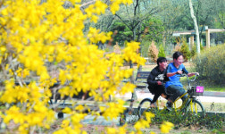 [포토 카페] 인생의 봄