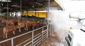 깨끗하게 소독 중