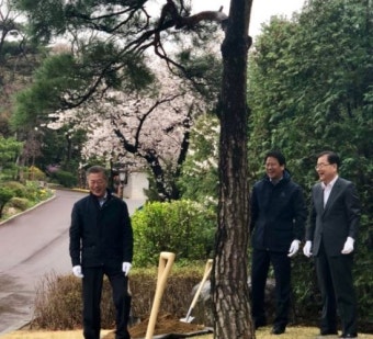 文대통령, 식목일에 심은 ‘나무’의 정체… “나이가 비슷”