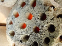 온라인서 만난 남녀 3명, 안산 대부도서 ‘극단적 선택’