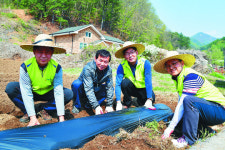 NH농협은행, 경기 양평 신당마을서 농번기 일손돕기